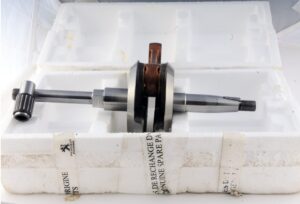 VILBREQUIN PGT103 ORIGINE