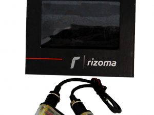 PAIRE CLIGNOTANT LED RIZOMA