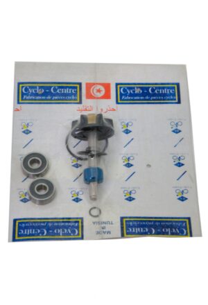 NECESSAIRE POMPE A EAU PIAGGIO NRG LOCAL