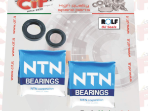 KIT ROULLEMENT + PARAHUILE PIAGGIO CIF